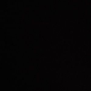 Meet your Posher, Janice